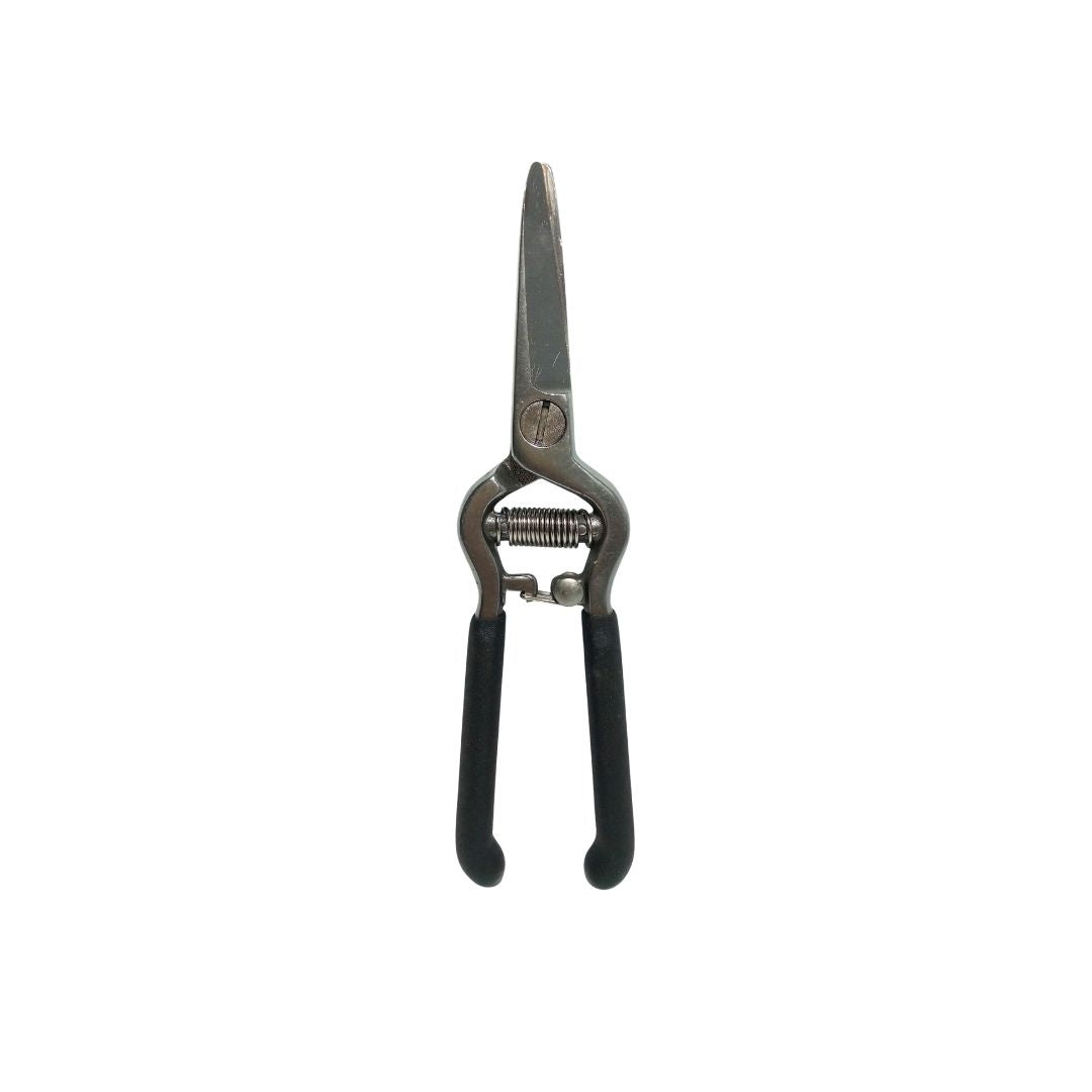 Grape Shears