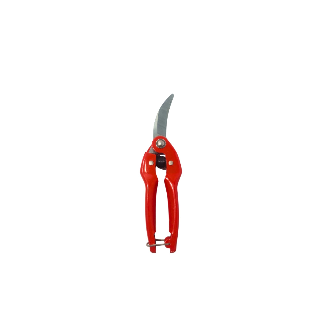 Heavy Steel Type Garlic Shear Stainless Steel Blade 8