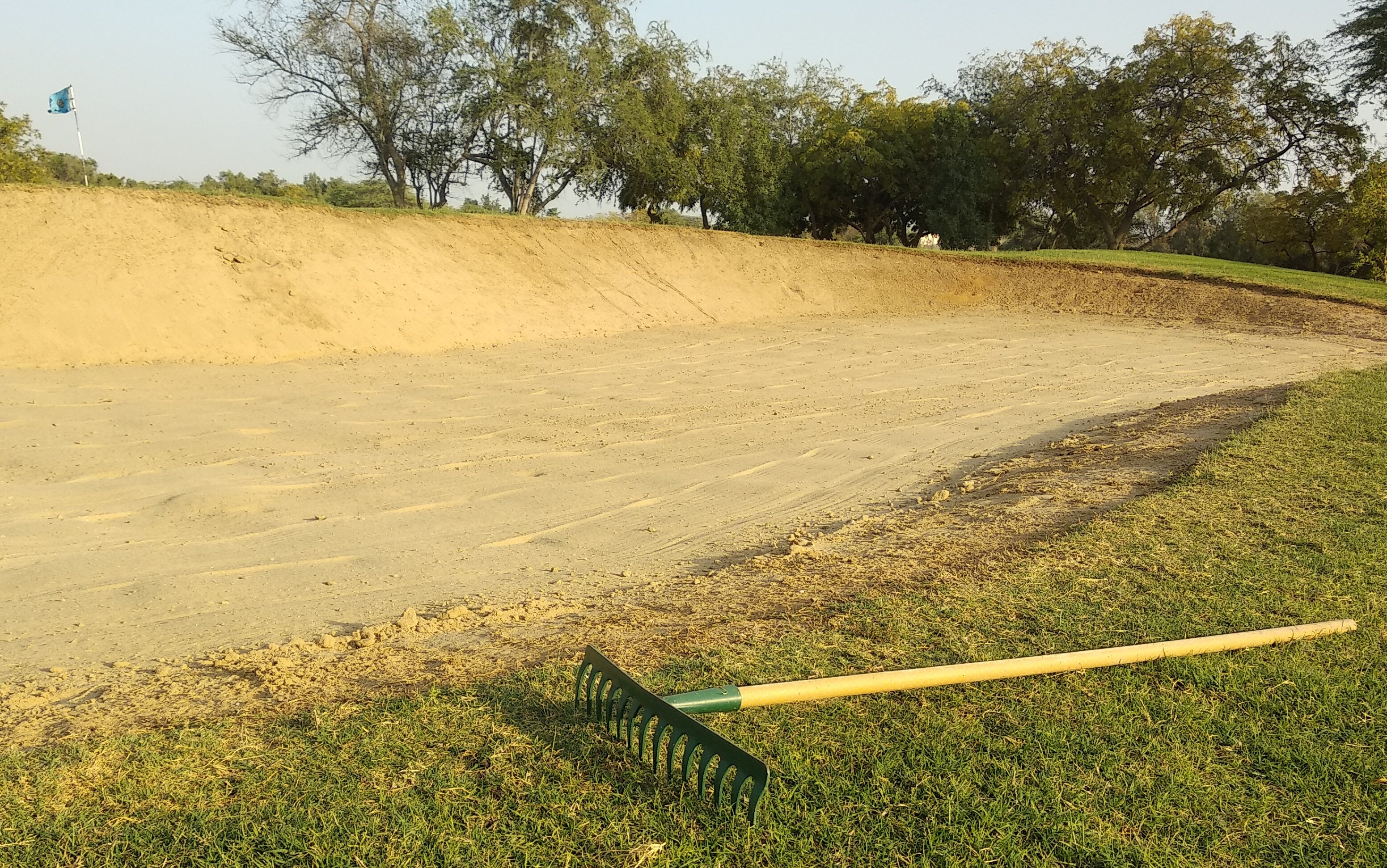 Tiller & Rowe Metal Garden Rake 14 Teeth
